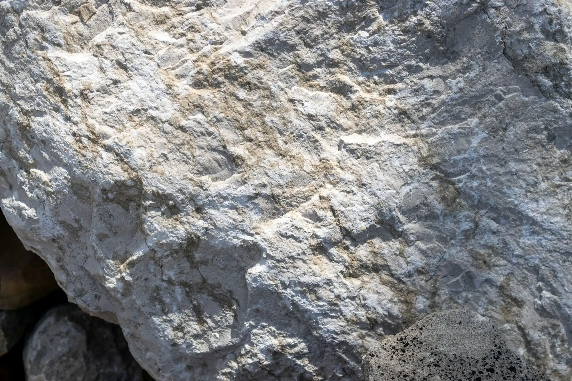 Close-up of white mineral rock